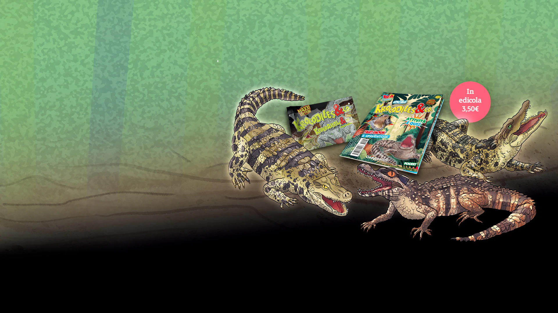 lions-maxxi-herobanner-header-desktop