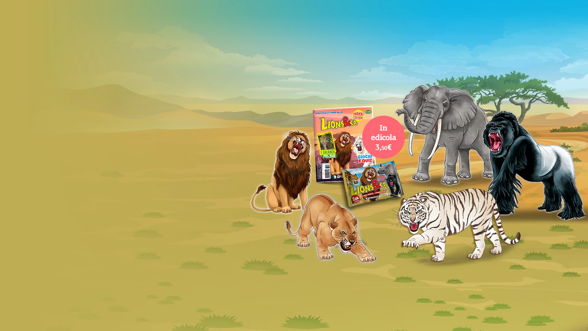 lions-maxxi-herobanner-header-desktop