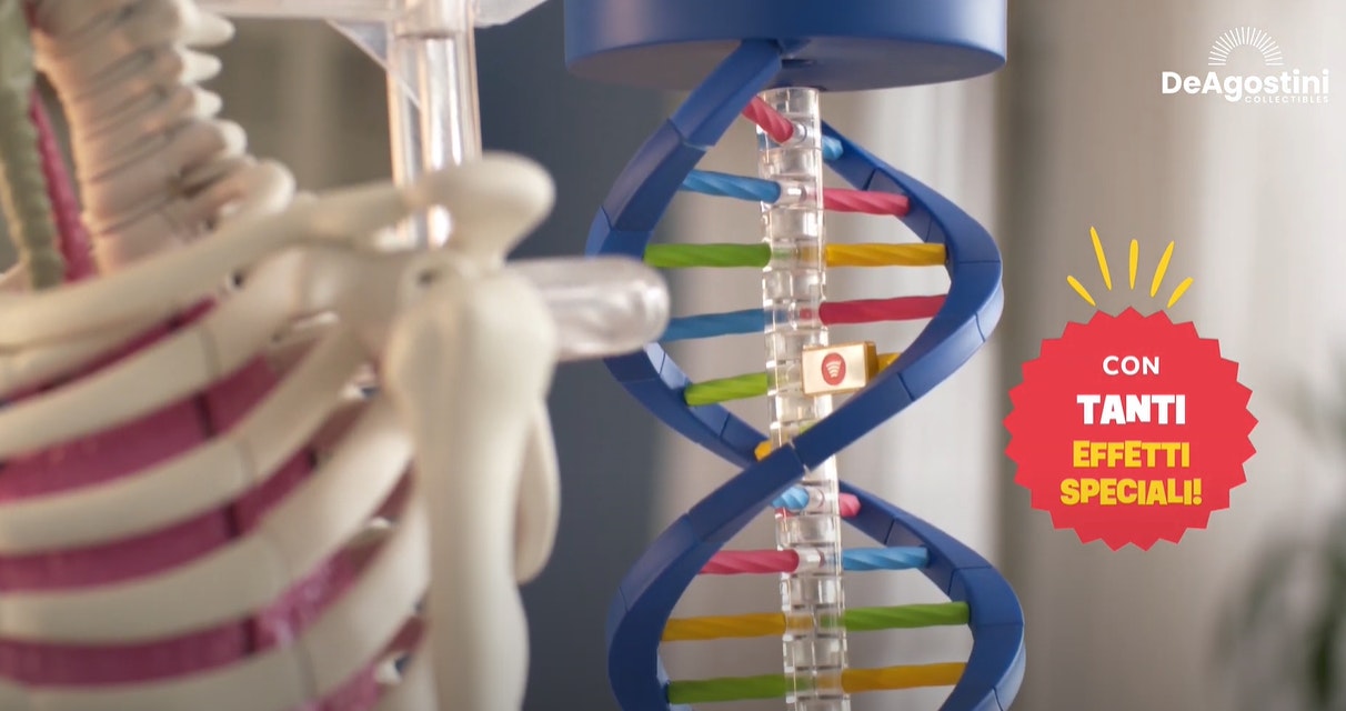 DNA